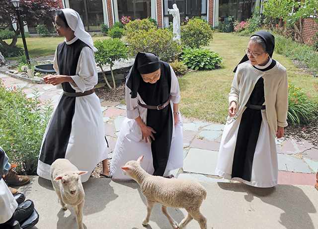Vision 2025 Gonçalves 7 What a flock of sheep taught its shepherdess The lambs and sisters visit each other in the monastery garden.